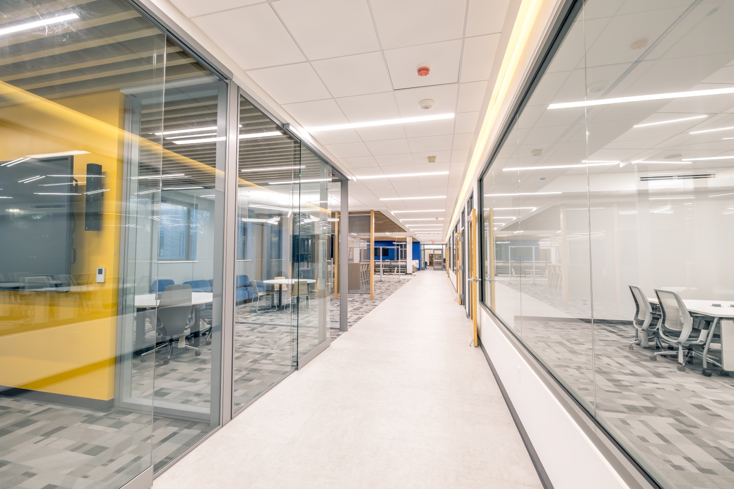 Empty Innovation Hub hallway with bright light and glass walls.